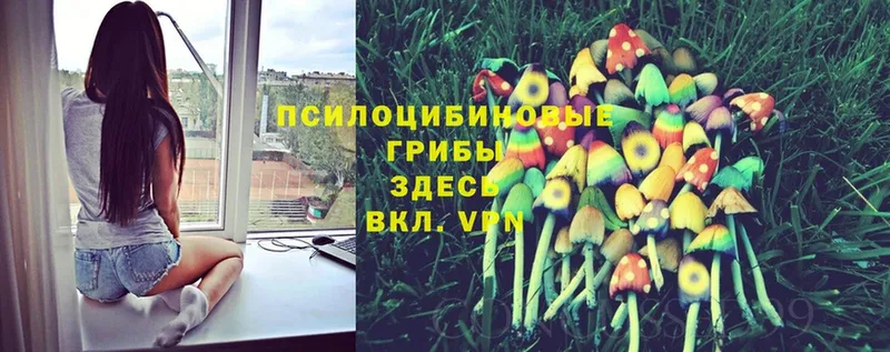 Псилоцибиновые грибы Magic Shrooms  Бакал 